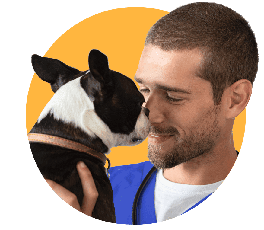 Asistencias veterinarias virtual y en casa