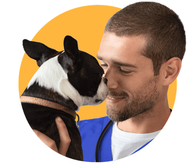 Asistencias veterinarias virtual y en casa